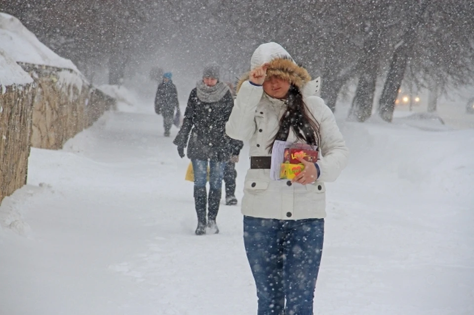 Во Владивостоке 15 января 2021 года начался снегопад.