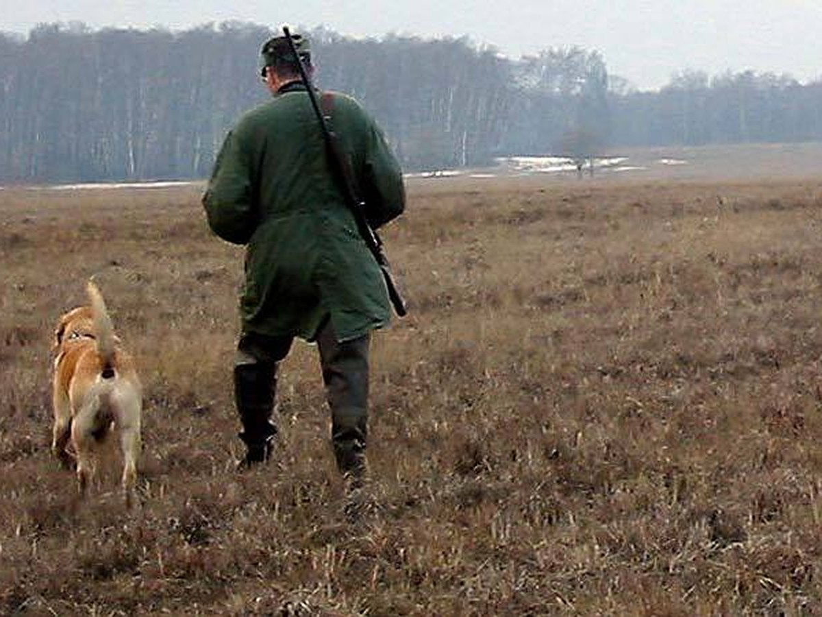 несчастный случай на охоте в волгоградской области