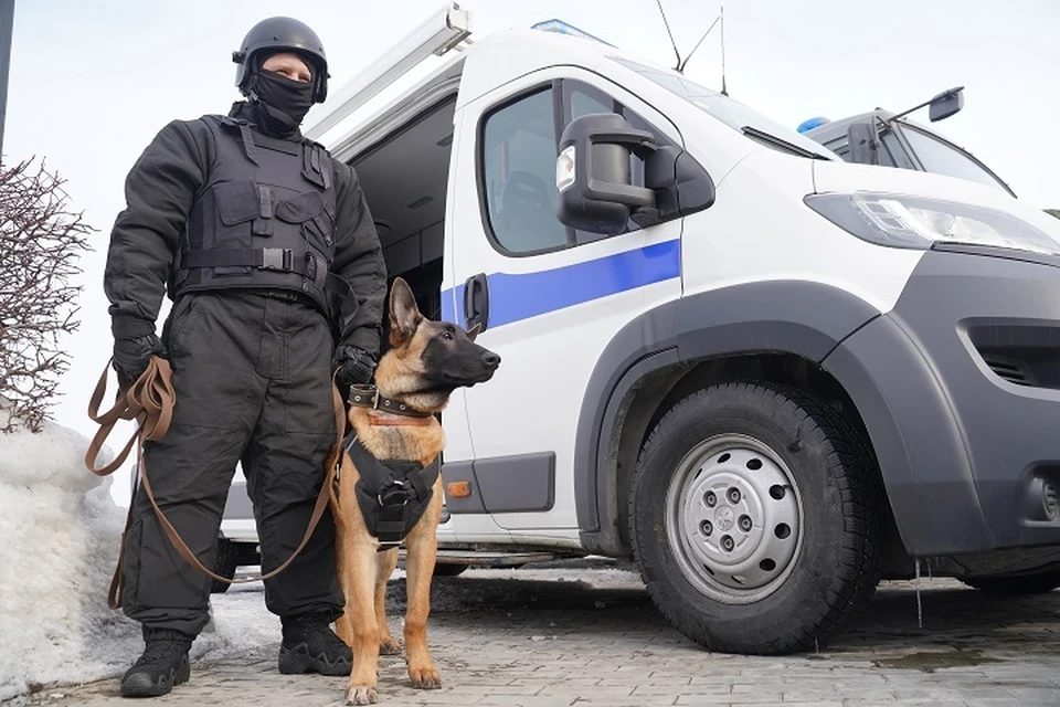 Эвакуировали посетителей МФЦ на Пионерском бульваре в Кемерове