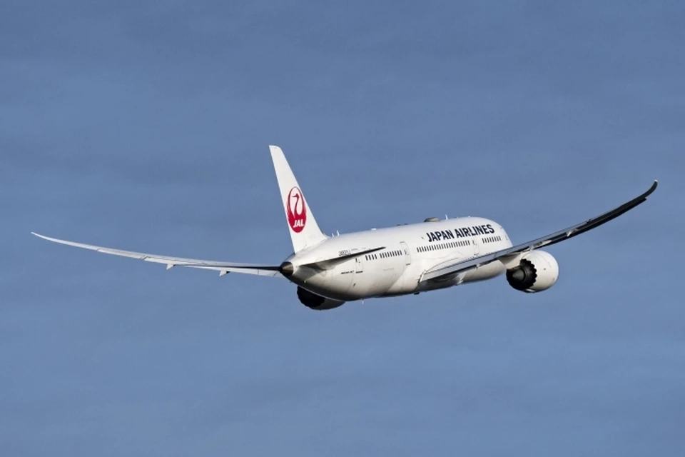 Самолет японской авиакомпании Japan Airlines совершил экстренную посадку из-за трещины в стекле