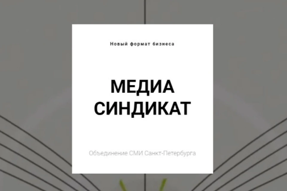 Резиденты «Медиасиндиката» входят в топ-10 самых цитируемых СМИ по Санкт-Петербургу