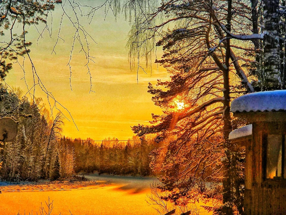 Фото: Людмила Удоратина
