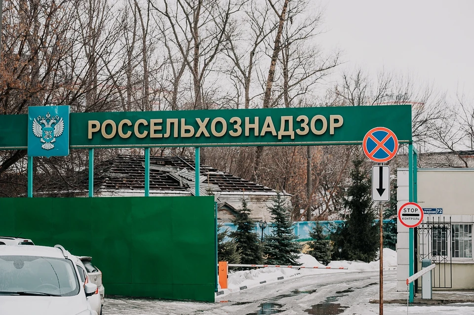 Орловскую агрофирму оштрафовали на 200 тысяч рублей из-за заросшего поля