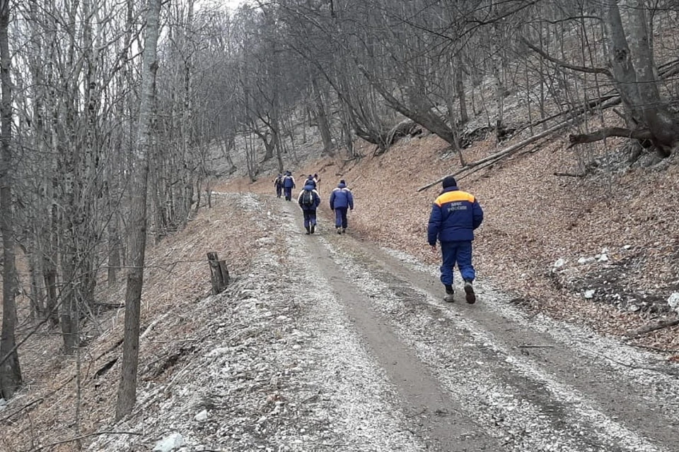 На поиски пропавших выдвинулись отряды МЧС, кинологи, волонтеры и полиция. Фото: ГУ МЧС по Чеченской Республике