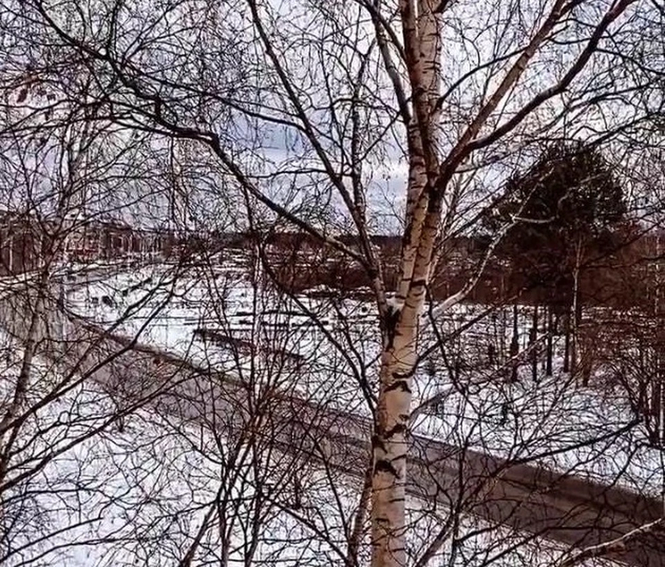 В Югре отремонтировали 165 километров автомагистралей Фото: Виктория Терина