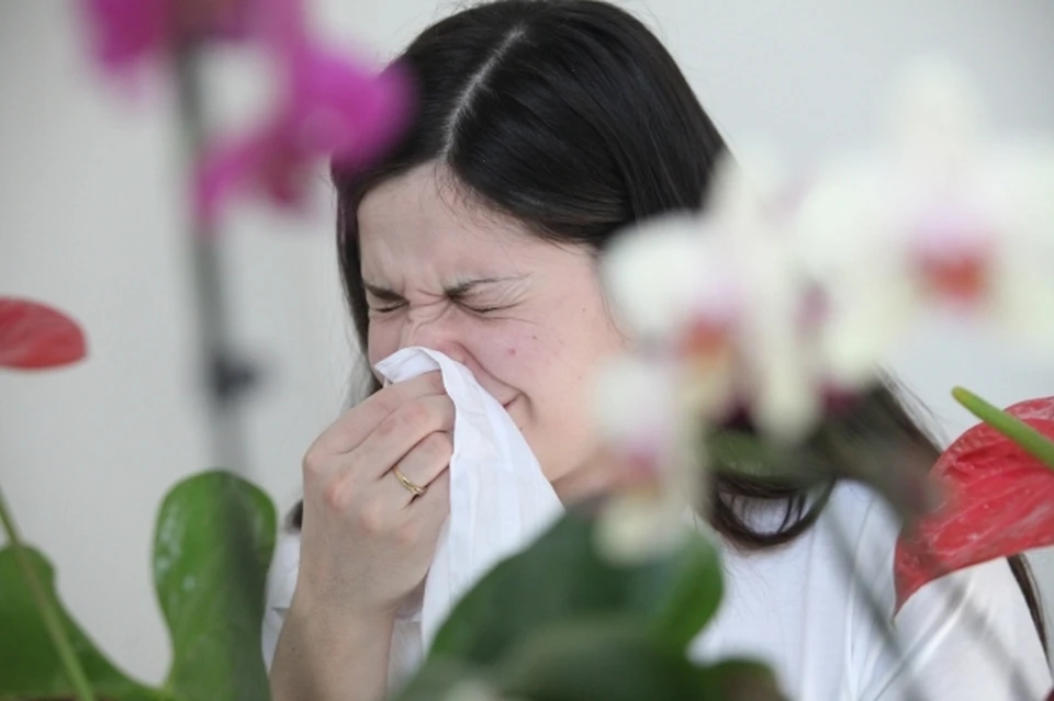 Биологи связали развитие эпидемии аллергии с изменением климата