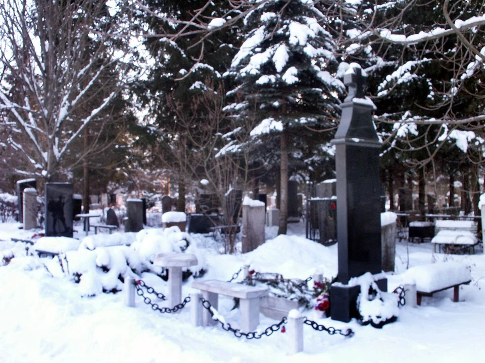 Вопрос выбора места для нового кладбища в Туле «подвис» в воздухе