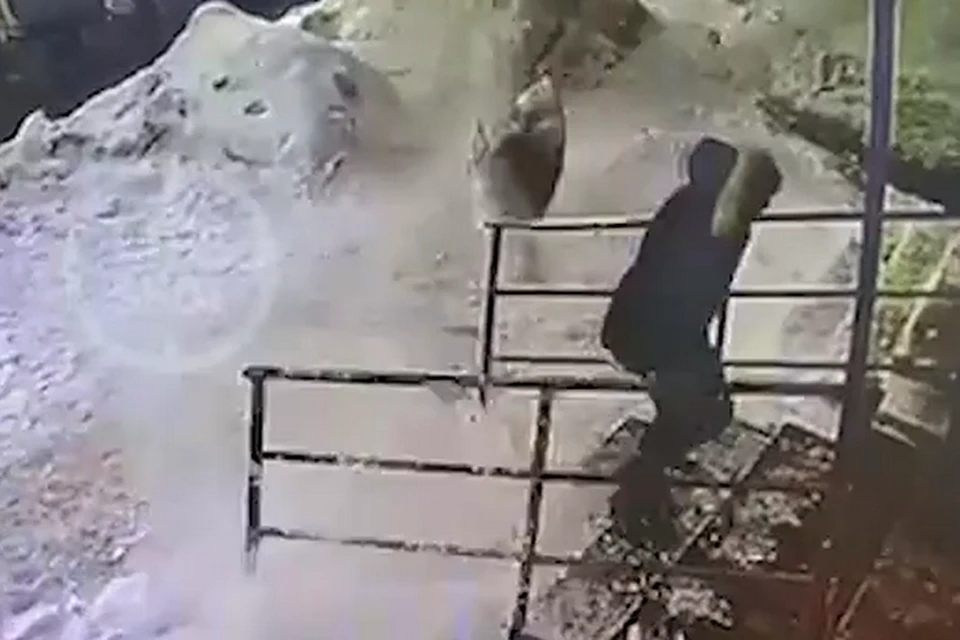 Следком заинтересовался упавшим на новокузнечанку снегом. ФОТО: Life Shot