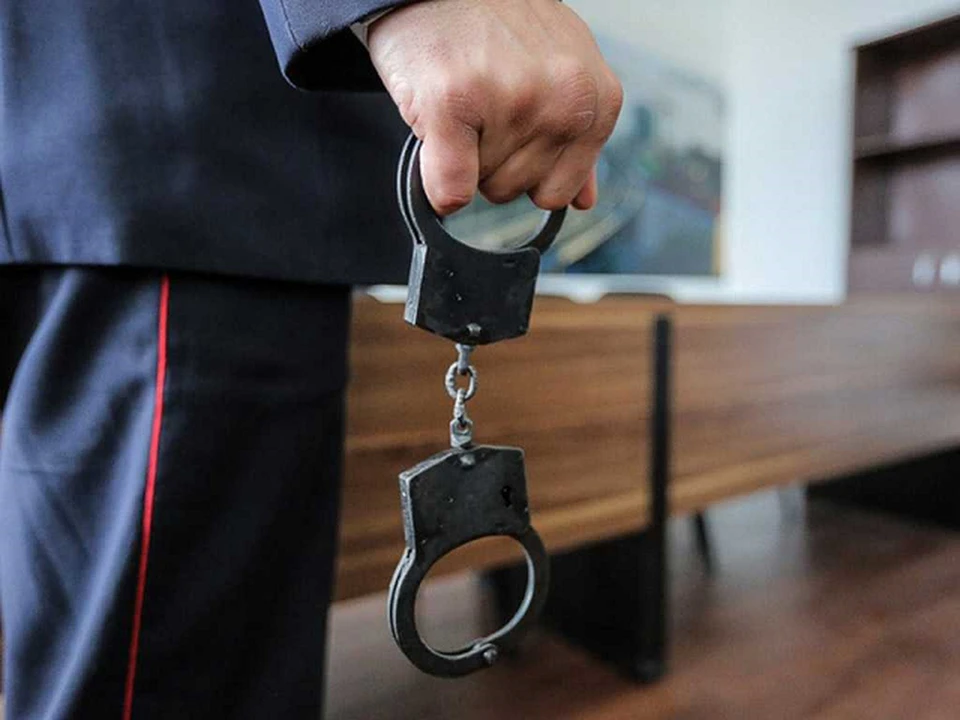 Государственный обвинитель настаивал на необходимости назначения виновному наказания исключительно в виде лишения свободы.