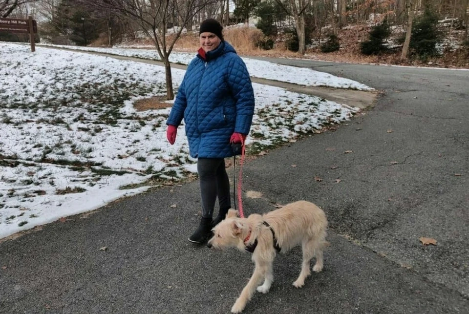 Теперь бывшая омичка Тесс гуляет с хозяйкой в нью-йоркских парках. Фото: приют «Теремок»