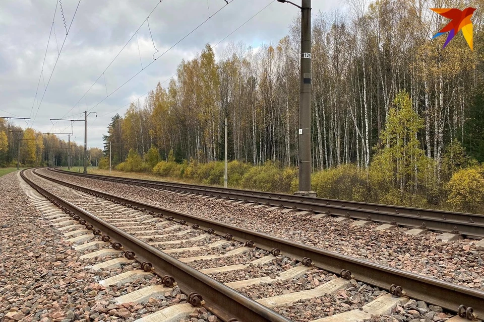 В Орше поезд насмерть сбил одного из рабочих, которые чистили снег с железнодорожного полотна