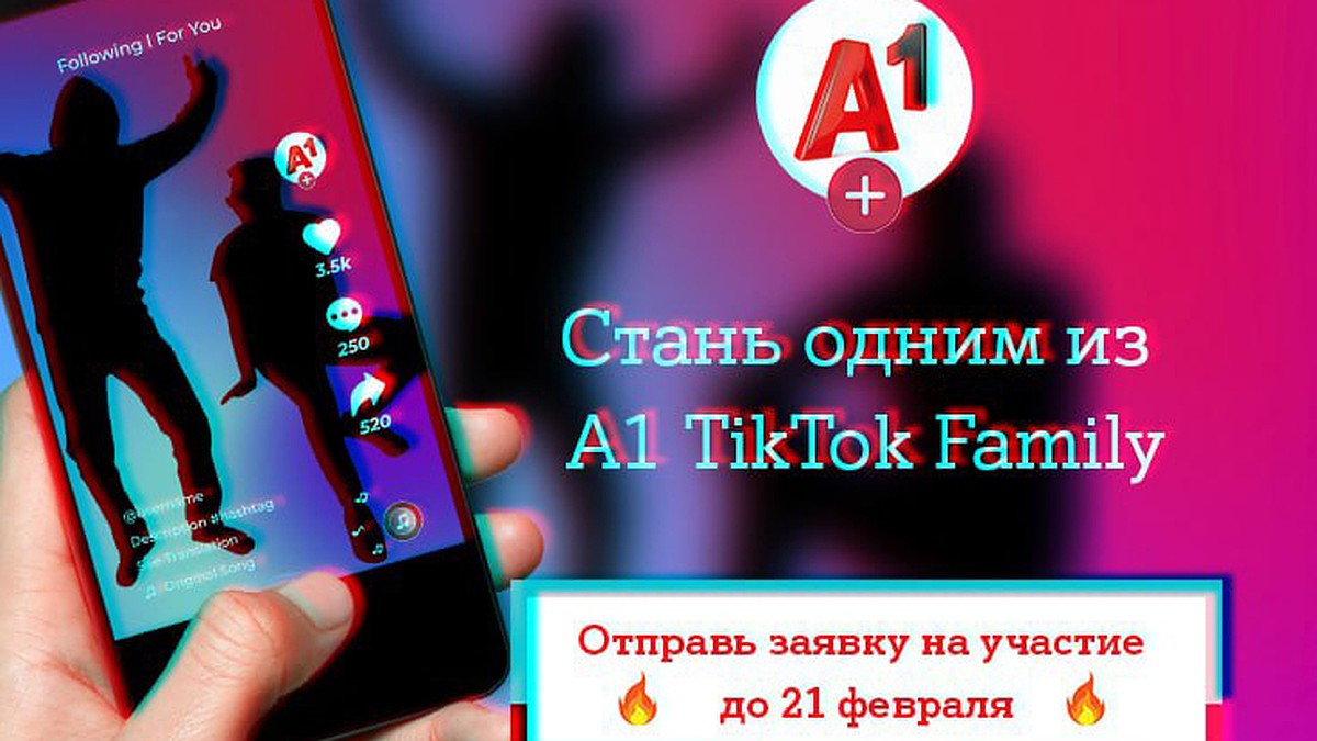 А1 собирает TikTok Family и ищет кота-блогера - KP.RU