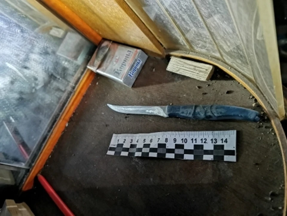 В Тульской области пьяный отец убил своего 37-летнего сына