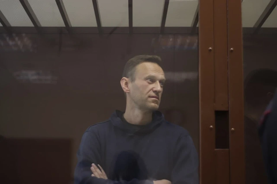 Алексея Навального обвиняют в оскорблении ветерана ВОВ. Фото: протокольная съёмка Мосгорсуда