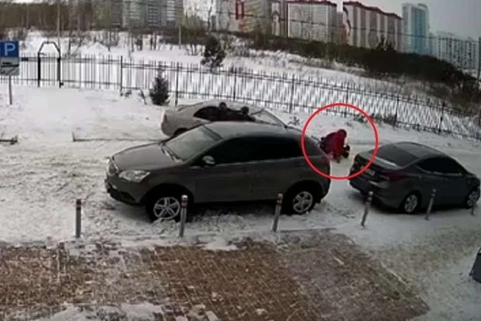 Сейчас по данному факту проводится проверка. Фото: Стоп-кадр