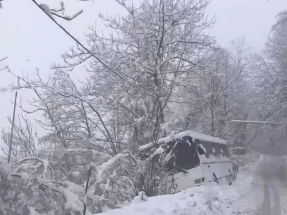 Скрин видео: t.me/gorodsochi