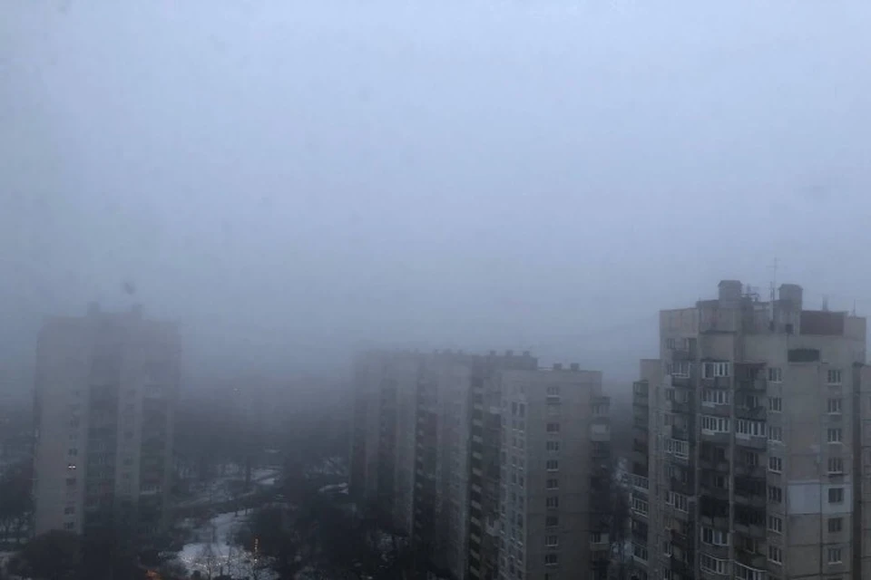 Петербург укутал густой туман 26 февраля