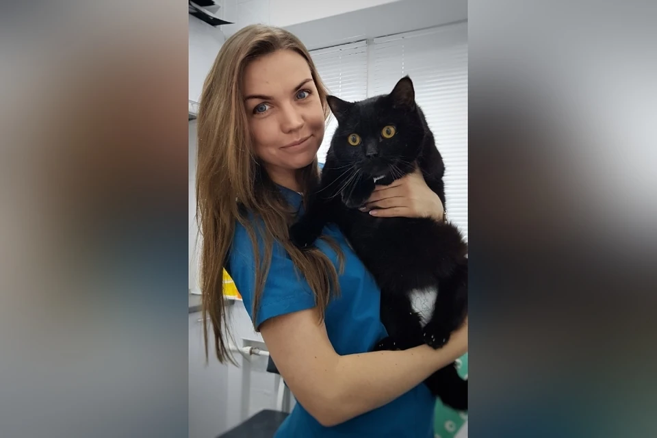 Нина Хмелинина с одним из своих пациентов – котом британской породы. Фото: Предоставлено героиней публикации.