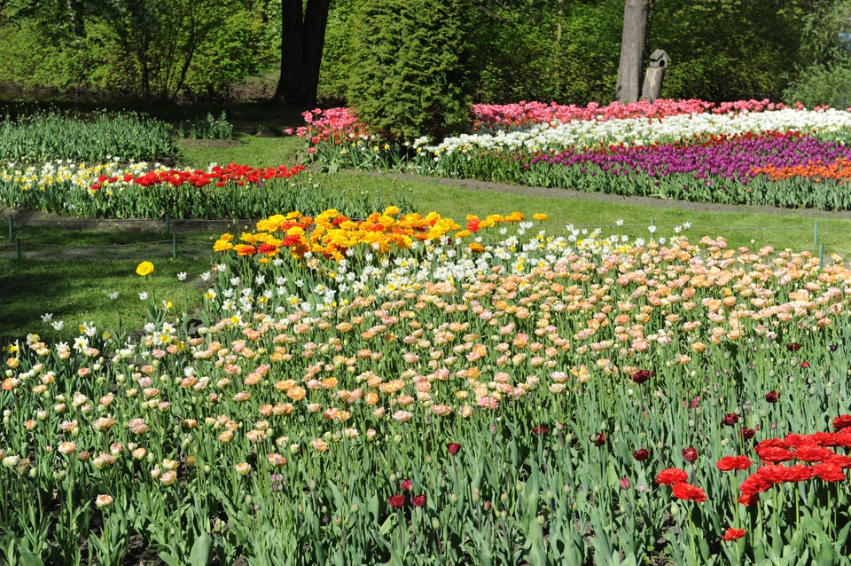 В оранжереях Московского и Приморского парков Победы готовятся открыть цветочный сезон