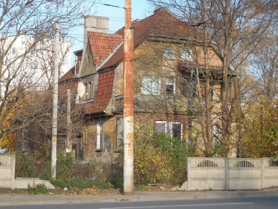 На написание бестселлера вдохновил дом № 180 по проспекту Победы.