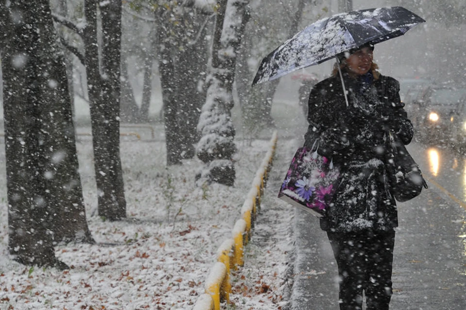 В Брянской области 7 марта ожидают метель, мокрый снег и гололед.