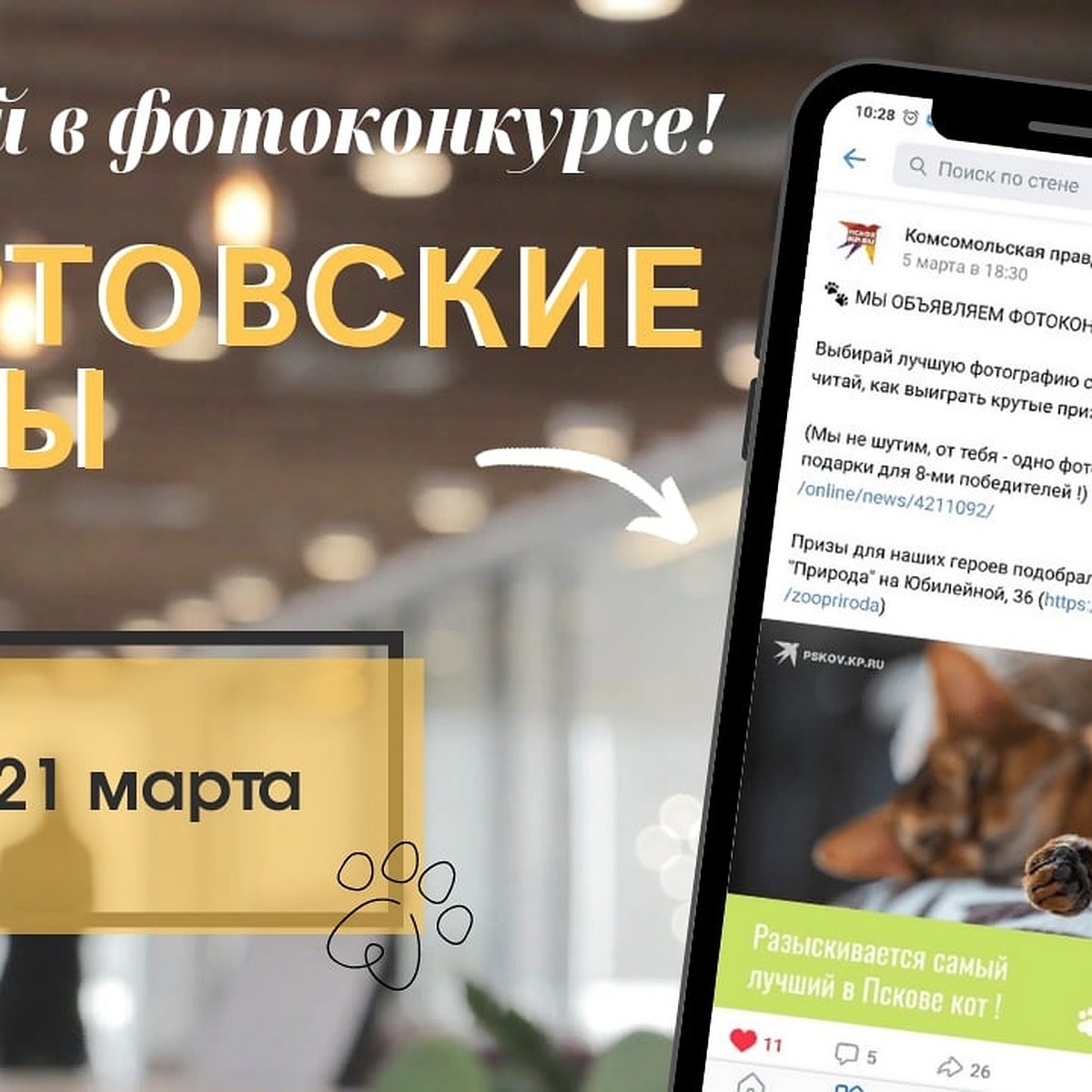 Когтеточка, гамаки, игрушки-треки: что ждет победителей конкурса  «Мартовский кот» - KP.RU