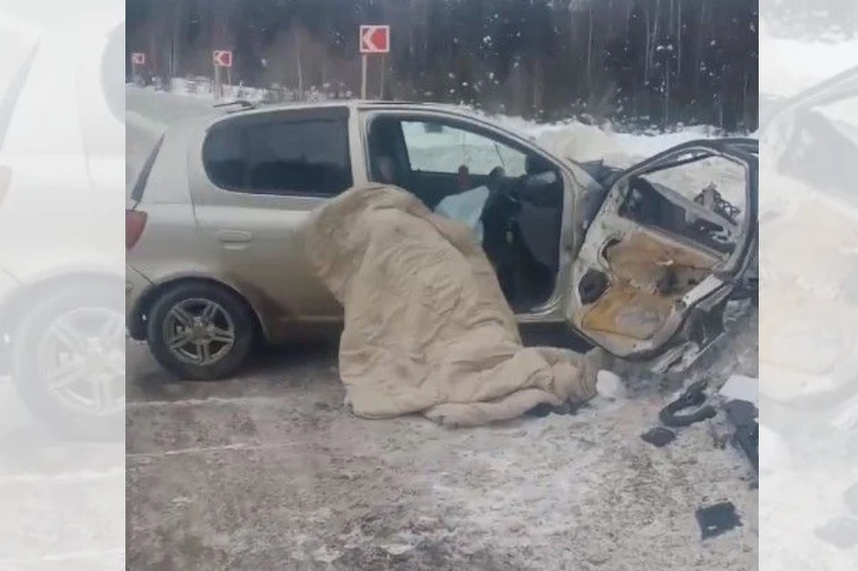 Фото: скриншот видео Максима Д.