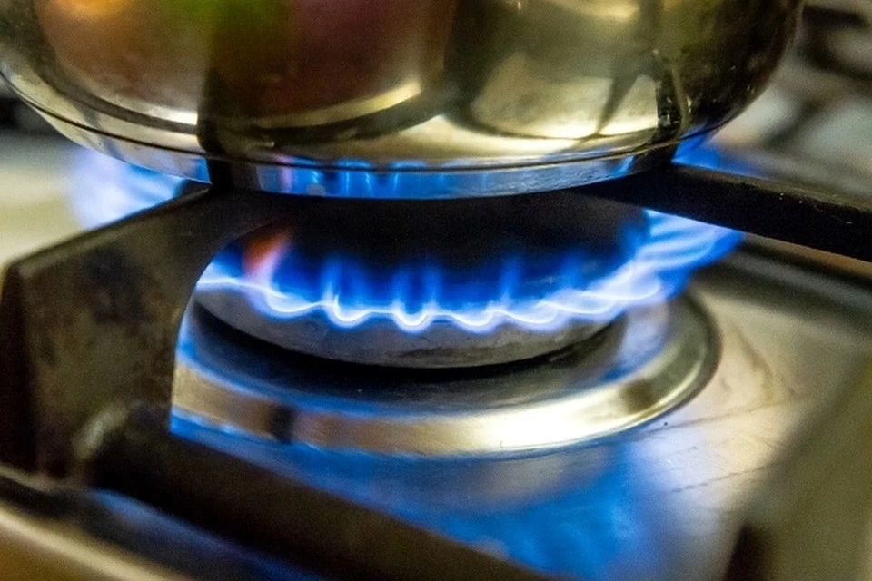 Газ проведут в деревни Славное, Савкино, Бочарниково и Тестово.