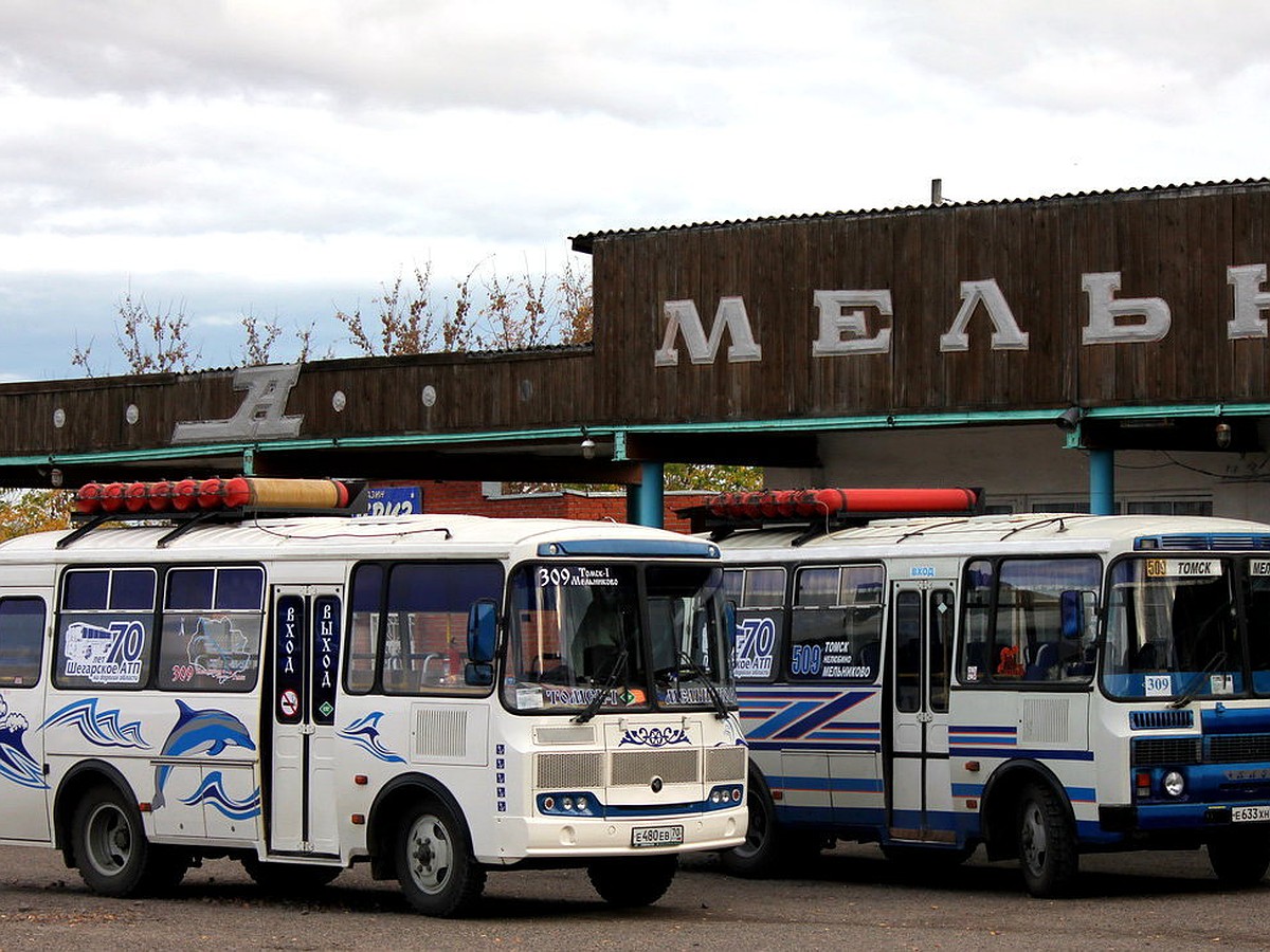 509 автобус. ПАЗ 309 Томск. Автобус 509 Томск. ПАЗ Томск 2018.