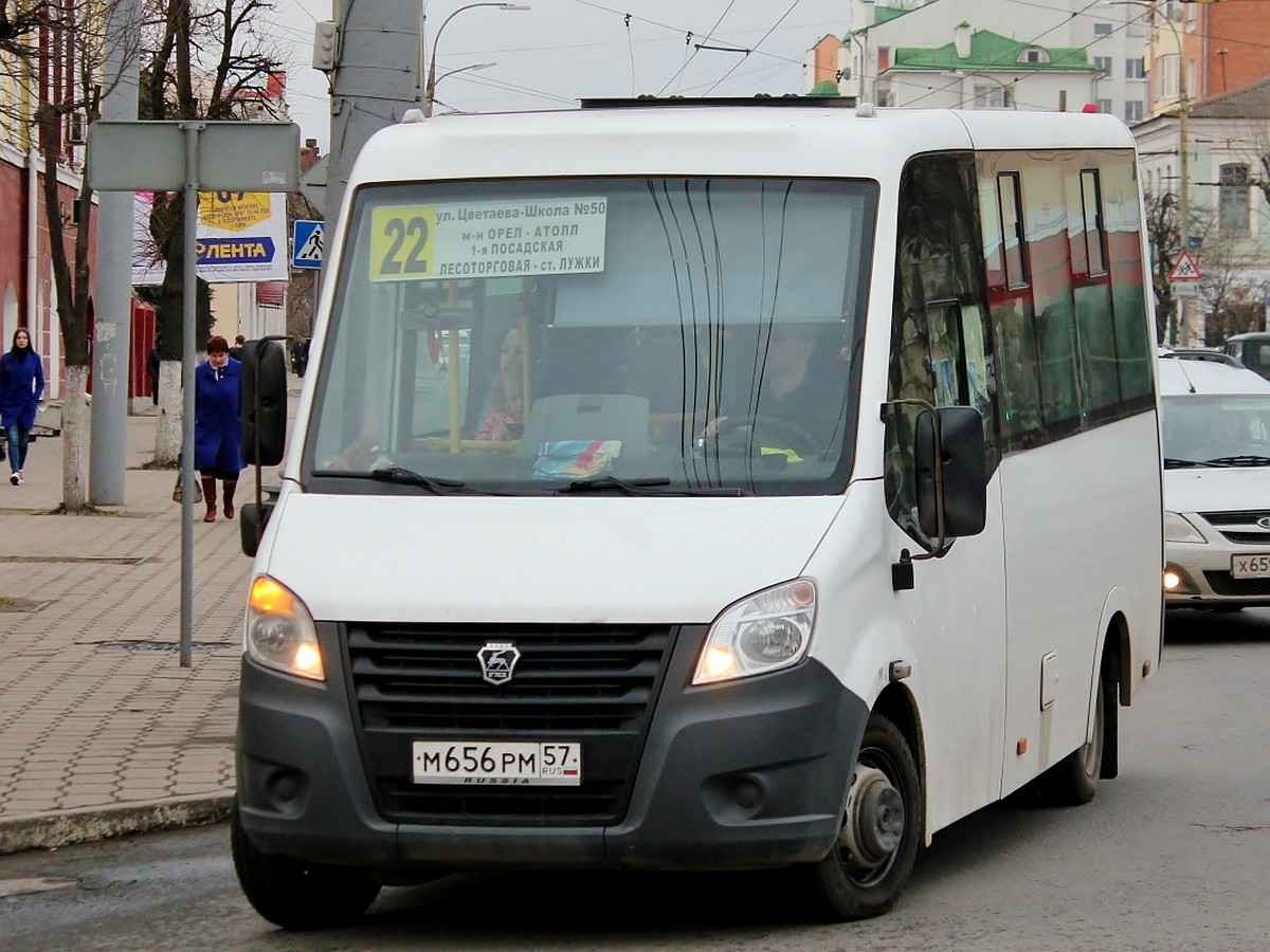 В Орле пустили дополнительные автобусы в Лужки - KP.RU