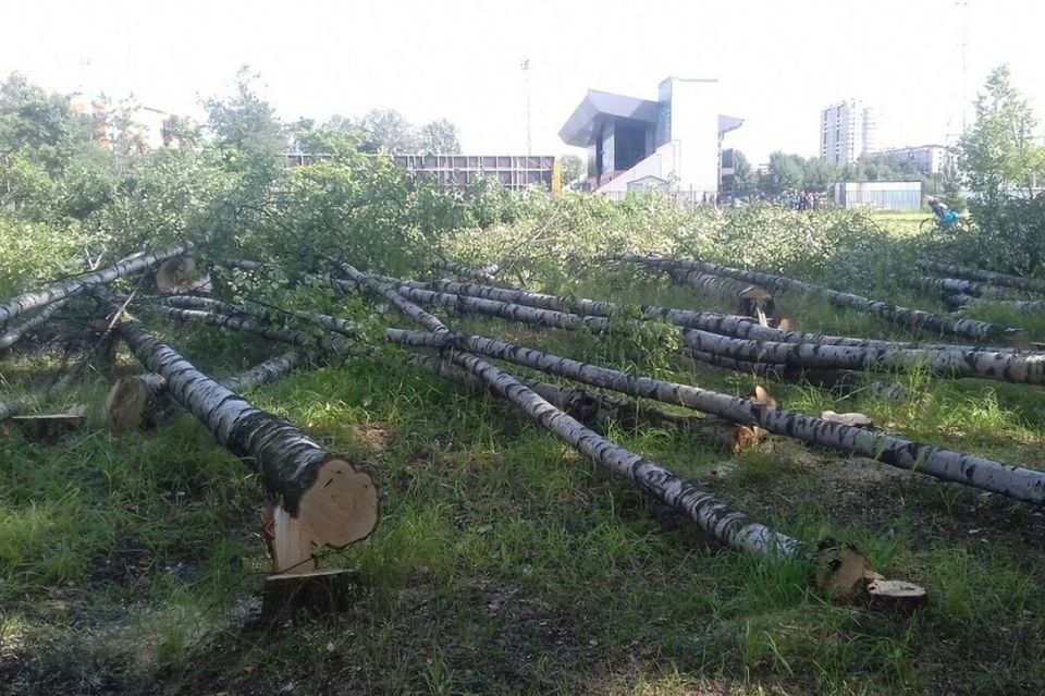 В Санкт-Петербурге обезопасили от застройки четыре парка. Фото: vk.com/kalininskiyzapark