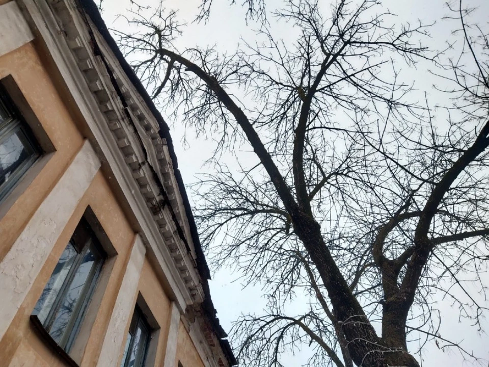 Синоптики обещают пасмурное небо.