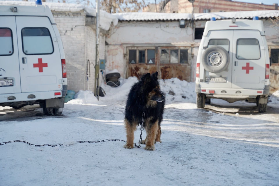 Фото предоставлено партией «Новые люди».
