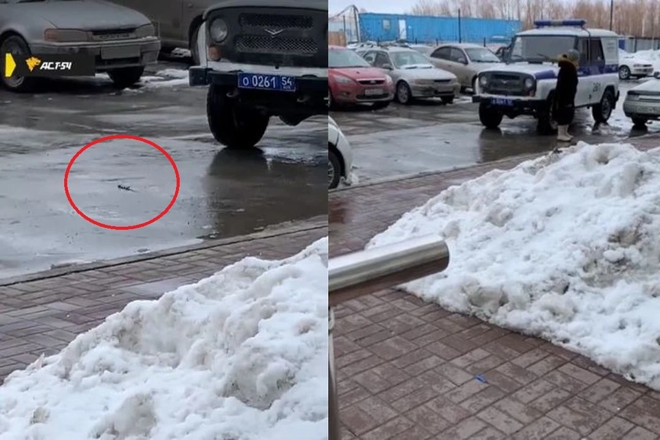 В Новосибирске неизвестный бросал ножи из окна дома прямо на прохожих. Фото: Кадр из видео