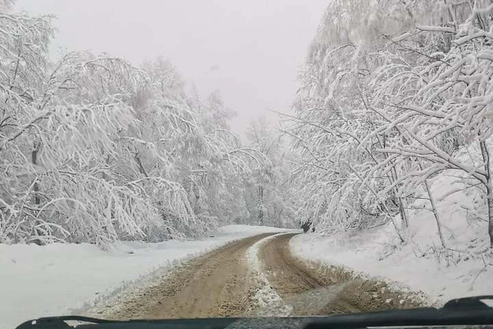 Мало, кто поверит, что снимок сделан 29 марта. Фото: instagram/pogoda_25_region