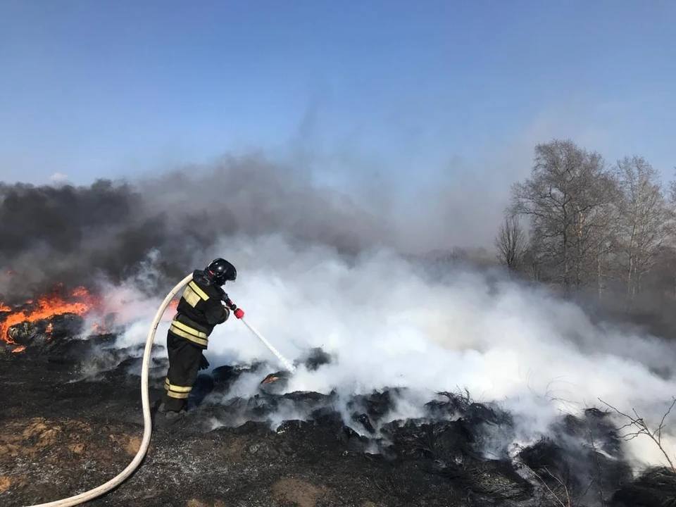 В Орле и области зафиксировали первые случаи поджога сухой травы и мусора. Фото: ГУ МЧС России по Орловской области