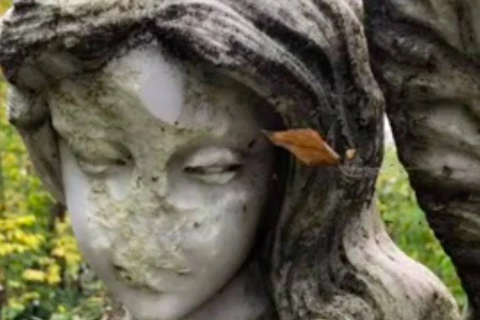Полиция поймала вандала, много лет уничтожавшего скульптуры ангелов на петербургском кладбище