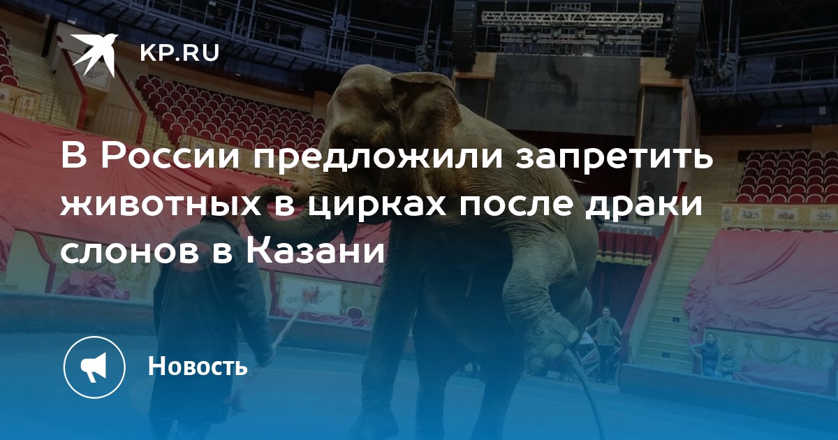 Слоны подрались в Казанском цирке. В Росси приечли закон о запрете животных в цирке. Запрет животных в цирке