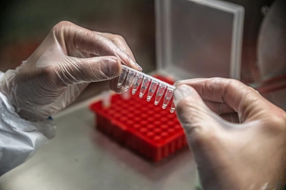 В Россельхознадзоре рассказали об объемах выпуска вакцины от коронавируса для животных