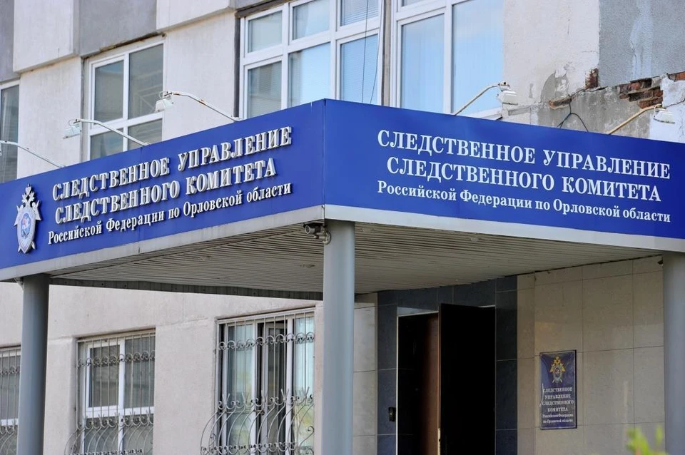 В Орле задержали женщину, зарезавшую своего знакомого во время застолья