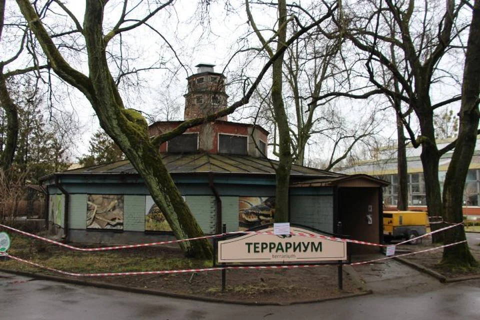 Доступ для посетителей в террариум был закрыт еще осенью прошлого года.