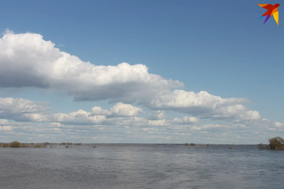 В Рязанскую область приходит большая вода.