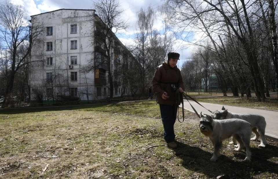 В населенных пунктах Приморья нужны места для выгула собак