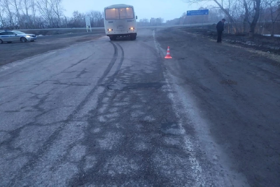 Автобус сбил пешехода под Новосибирском. Фото: ГИБДД по НСО.