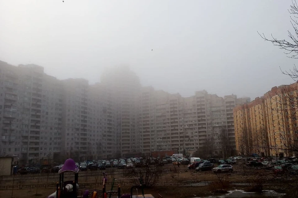 Туман опустился на Петербург.