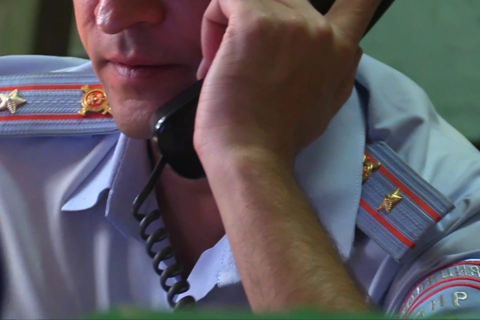 В ДНР полицейские изъяли у двух жителей гранаты и патроны. Фото: МВД Республики