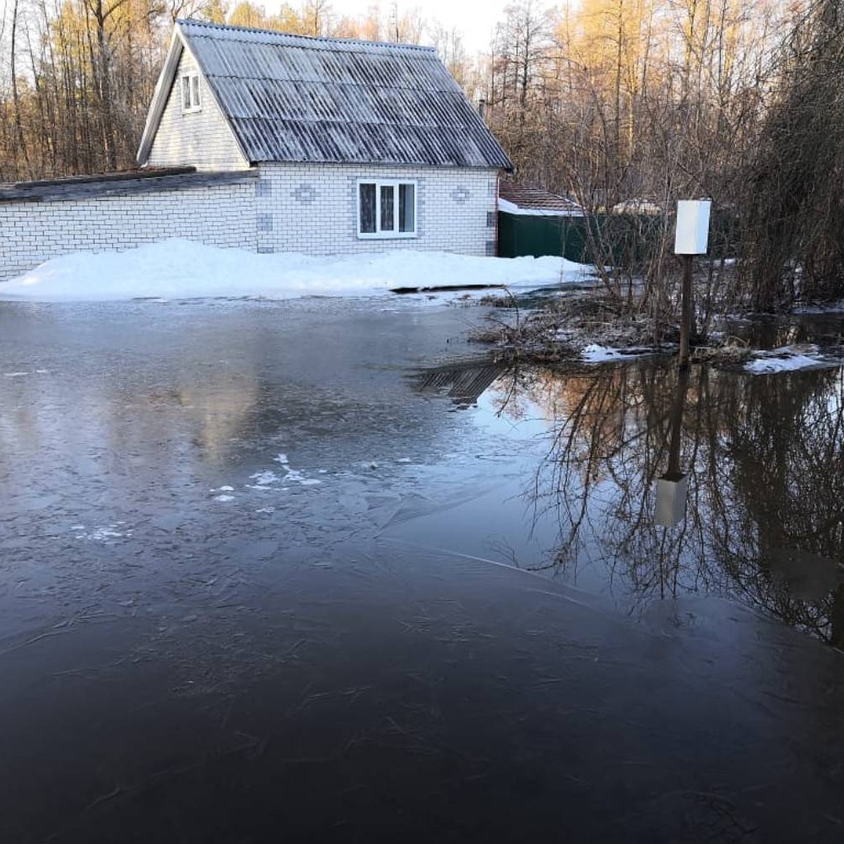 265 садовых участков в СНТ им. Гагарина затопило в Сарове - KP.RU