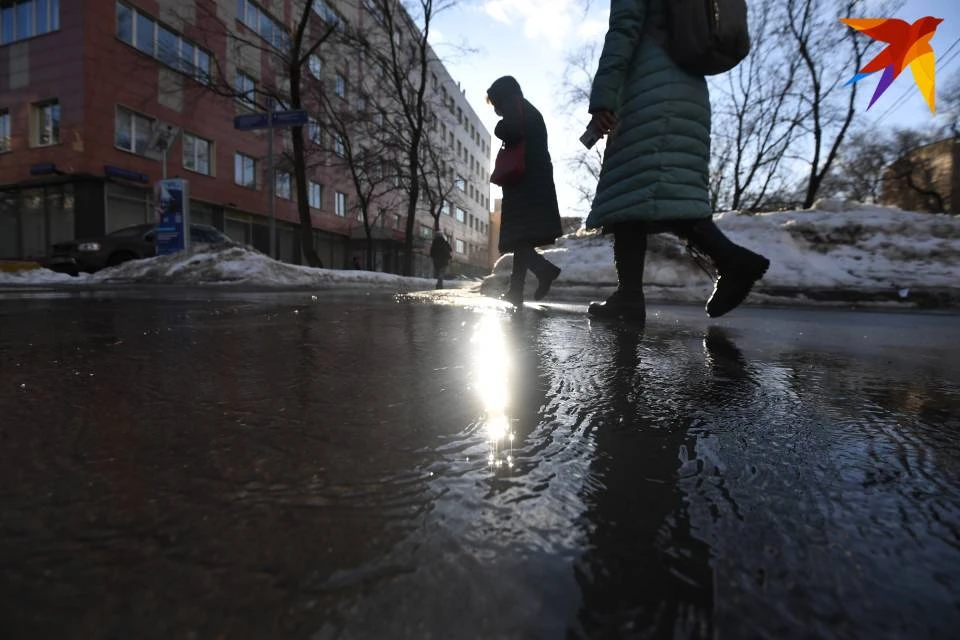 В Мурманской области воздух прогреется до +13.