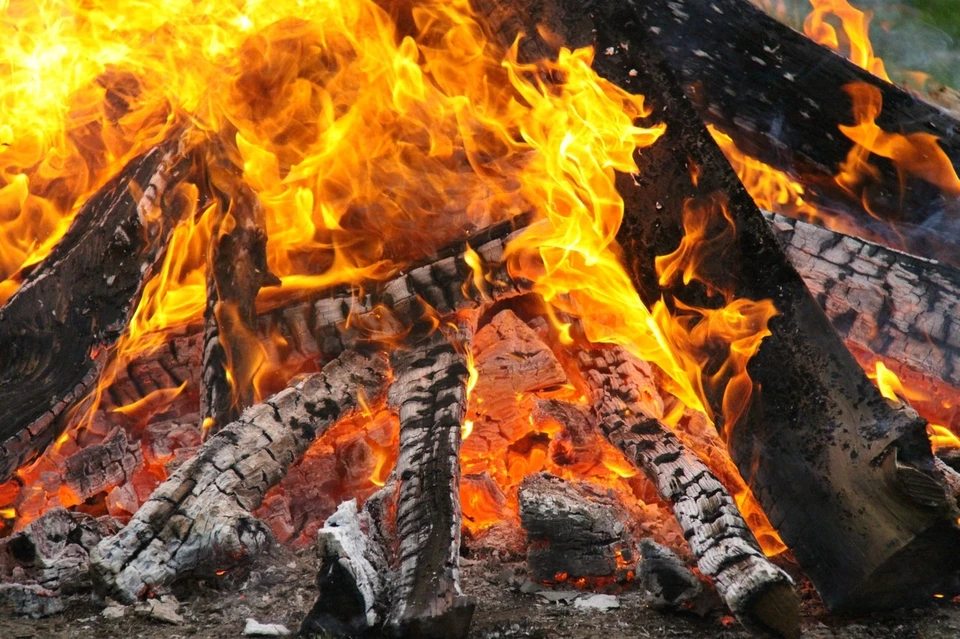 Фото: pexels.com