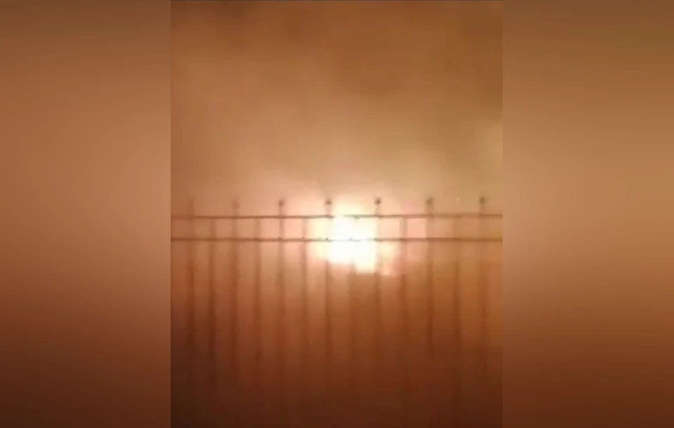 В Новомосковске Тульской области из-за пала травы чуть не сгорел детский сад
